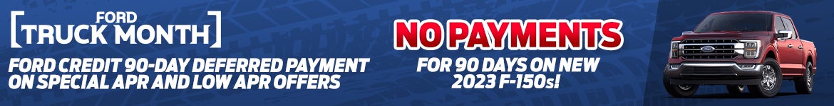 No Payments for 90 Days Banner
